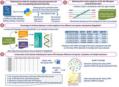 In-Silico Detection of Oral Prokaryotic Species With Highly Similar 16S rRNA Sequence Segments Using Different Primer Pairs